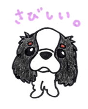 Cavalier King Charls Spaniel Sticker 2 sticker #939534