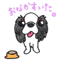 Cavalier King Charls Spaniel Sticker 2 sticker #939542