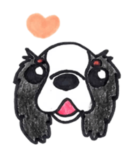 Cavalier King Charls Spaniel Sticker 2 sticker #939544
