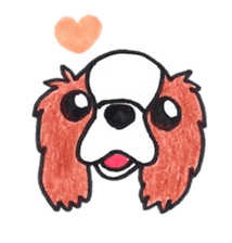 Cavalier King Charls Spaniel Sticker 2 sticker #939546