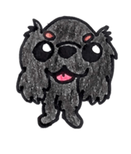 Cavalier King Charls Spaniel Sticker 2 sticker #939547