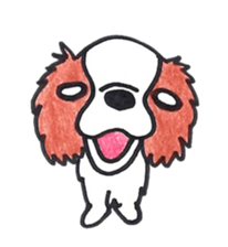 Cavalier King Charls Spaniel Sticker 2 sticker #939555