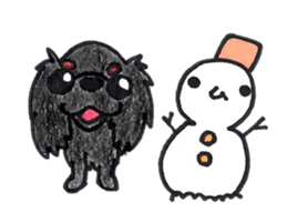 Cavalier King Charls Spaniel Sticker 2 sticker #939558