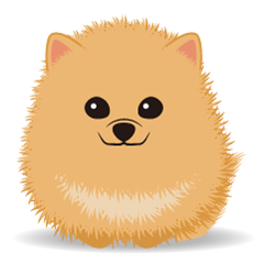 Pomeranian Moco