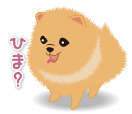 Pomeranian Moco sticker #940079