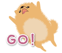 Pomeranian Moco sticker #940082