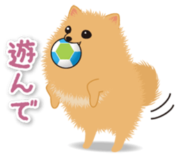 Pomeranian Moco sticker #940085