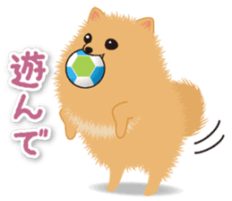 Pomeranian Moco sticker #940085
