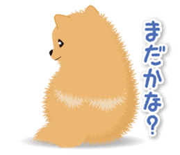 Pomeranian Moco sticker #940088
