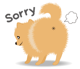 Pomeranian Moco sticker #940092