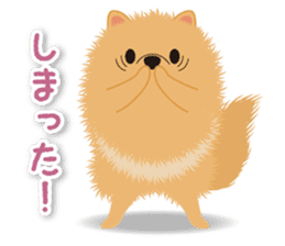 Pomeranian Moco sticker #940093