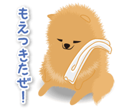 Pomeranian Moco sticker #940094
