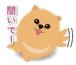 Pomeranian Moco sticker #940095