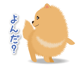 Pomeranian Moco sticker #940096