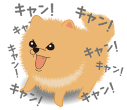Pomeranian Moco sticker #940097