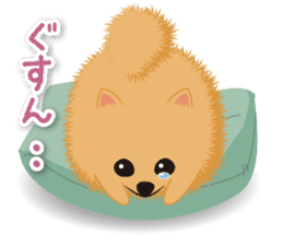 Pomeranian Moco sticker #940100
