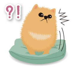 Pomeranian Moco sticker #940101