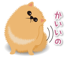 Pomeranian Moco sticker #940104