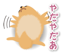 Pomeranian Moco sticker #940109