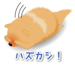 Pomeranian Moco sticker #940111