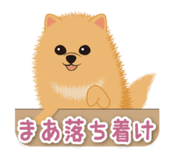 Pomeranian Moco sticker #940112