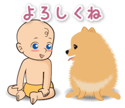 Pomeranian Moco sticker #940114