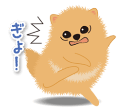 Pomeranian Moco sticker #940115