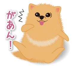 Pomeranian Moco sticker #940118