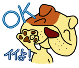 tAkA's BullDog Faces sticker #943333