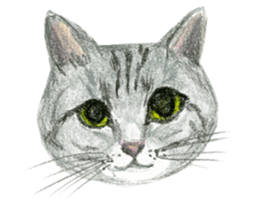 Hey! cat! sticker #946167