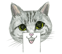 Hey! cat! sticker #946168