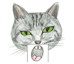 Hey! cat! sticker #946170