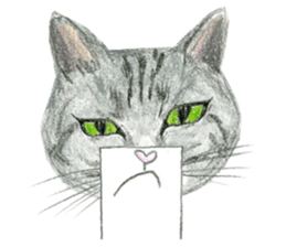 Hey! cat! sticker #946171