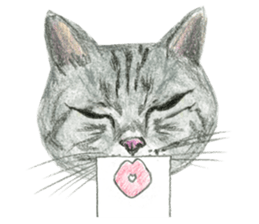 Hey! cat! sticker #946172