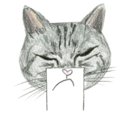 Hey! cat! sticker #946173