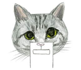 Hey! cat! sticker #946174