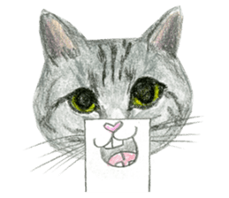 Hey! cat! sticker #946175