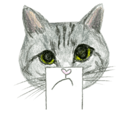 Hey! cat! sticker #946176