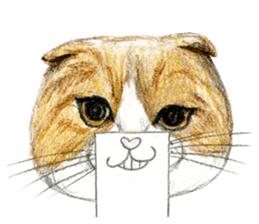 Hey! cat! sticker #946178