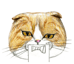 Hey! cat! sticker #946179