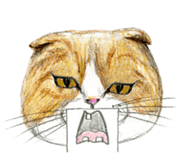 Hey! cat! sticker #946180