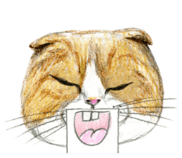 Hey! cat! sticker #946181