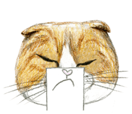 Hey! cat! sticker #946182