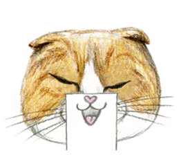 Hey! cat! sticker #946183