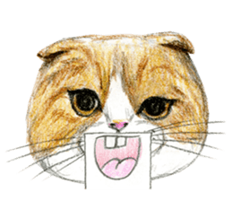 Hey! cat! sticker #946184