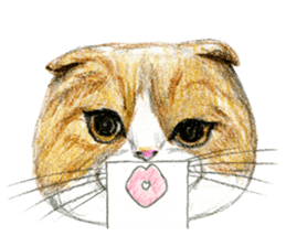 Hey! cat! sticker #946185