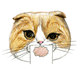 Hey! cat! sticker #946186