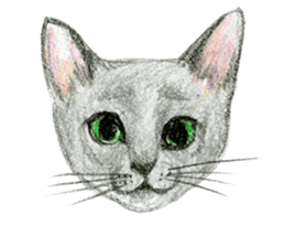 Hey! cat! sticker #946187