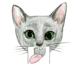 Hey! cat! sticker #946188