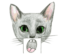 Hey! cat! sticker #946195